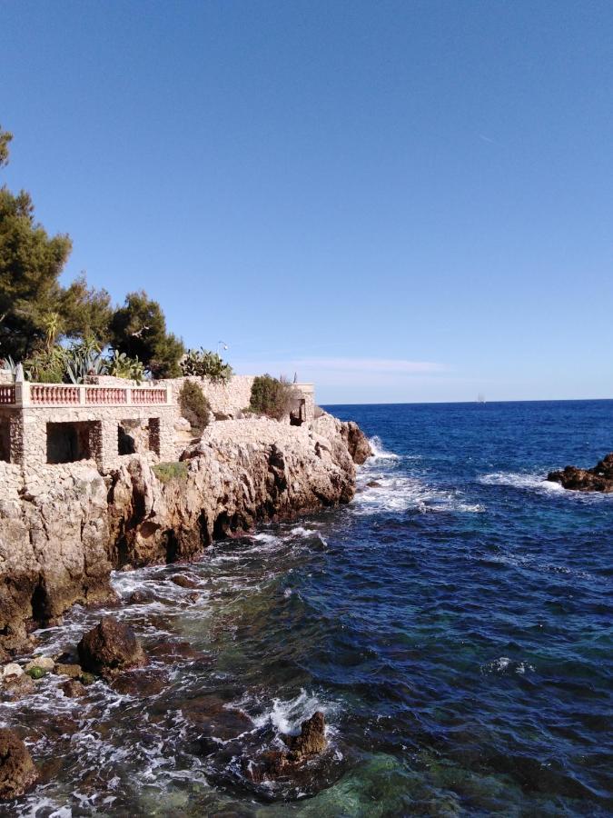 Le Palais Du Tropique Appartement Vue Mer 5E Etage Avec Ascenseur Juan-les-Pins Bagian luar foto